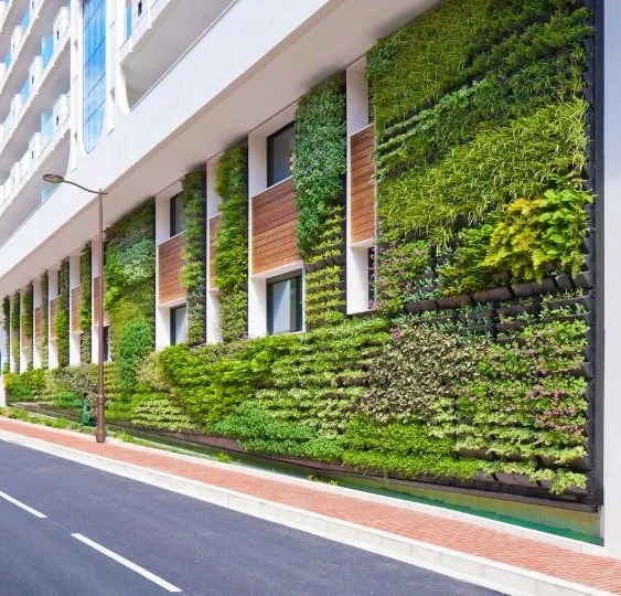Hydroponic Wall Garden Hydroponic Wall Garden