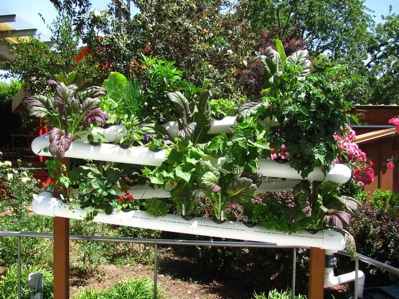 Gardening Hydroponics 101