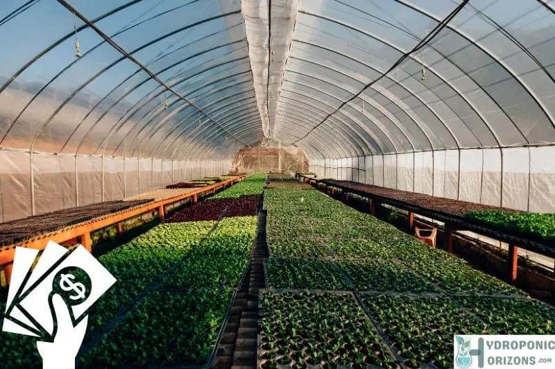 Is Hydroponics Worth It