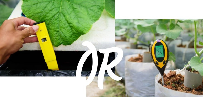 Pros And Cons Of Hydroponics
