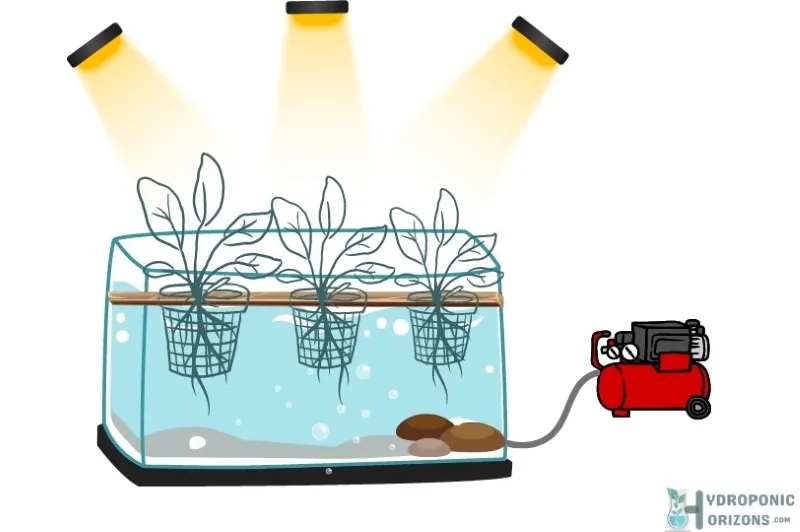 DWC Deep Water Culture Hydroponic System DWC Deep Water Culture Hydroponic System