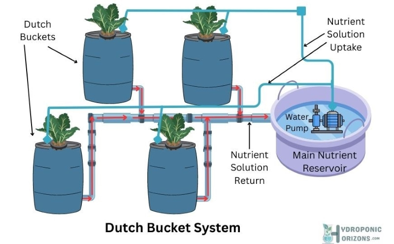 Dutch Bucket System