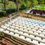 How To Build A NFT Hydroponic System