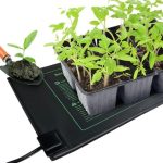 How To Use A Seedling Heat Mat
