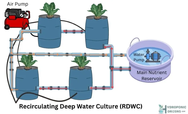 Recirculating Deep Water Culture Diagram