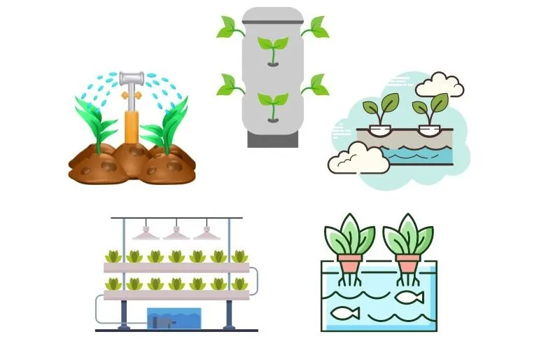 Types of Outdoor Hydroponic Systems