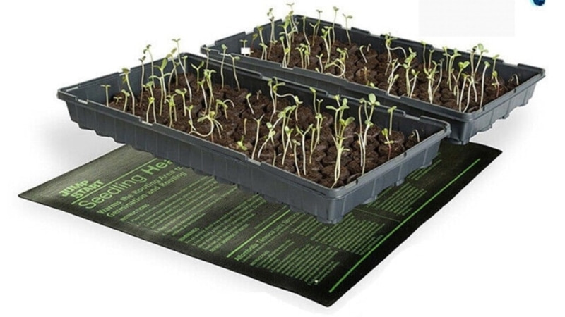 What Is A Seedling Heat Mat