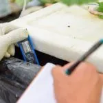 Best EC Meter For Hydroponics