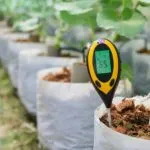 How to Keep pH Stable in Hydroponics