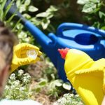 Hydrogen Peroxide to Kill Algae in Hydroponics