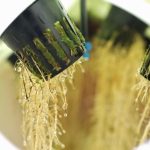 Aeroponics Misting Frequency