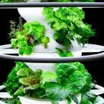 Best Aeroponic Tower Garden