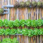DIY Vertical Hydroponic Garden