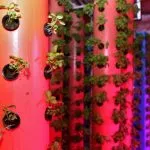 How To Build An Aeroponic Tower Garden