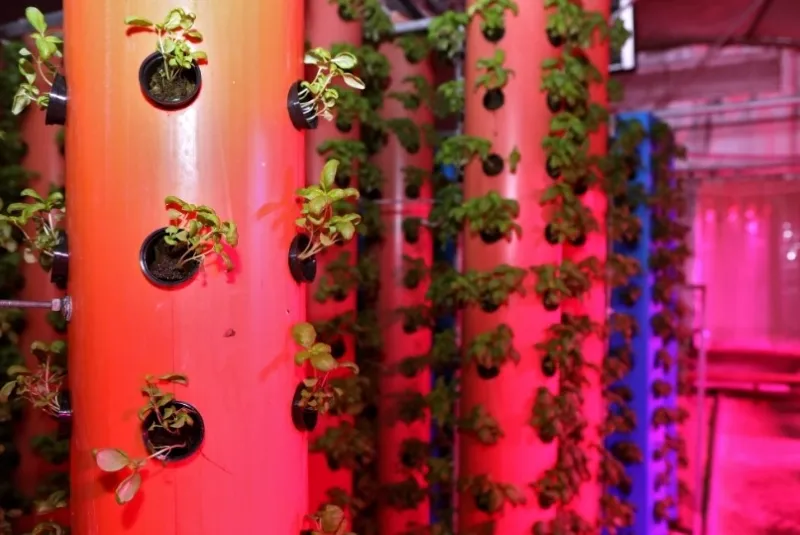 How To Build An Aeroponic Tower Garden