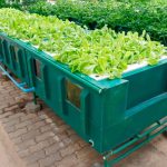How to Build Your Own Aeroponic System