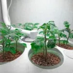 Low Pressure Aeroponics