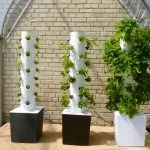 What Is An Aeroponic Tower