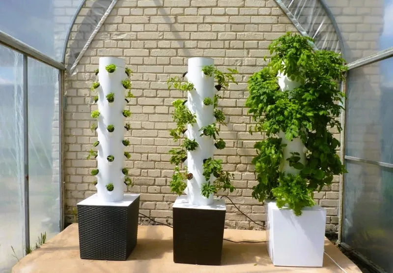 What Is An Aeroponic Tower