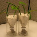 Wick System Pros And Cons